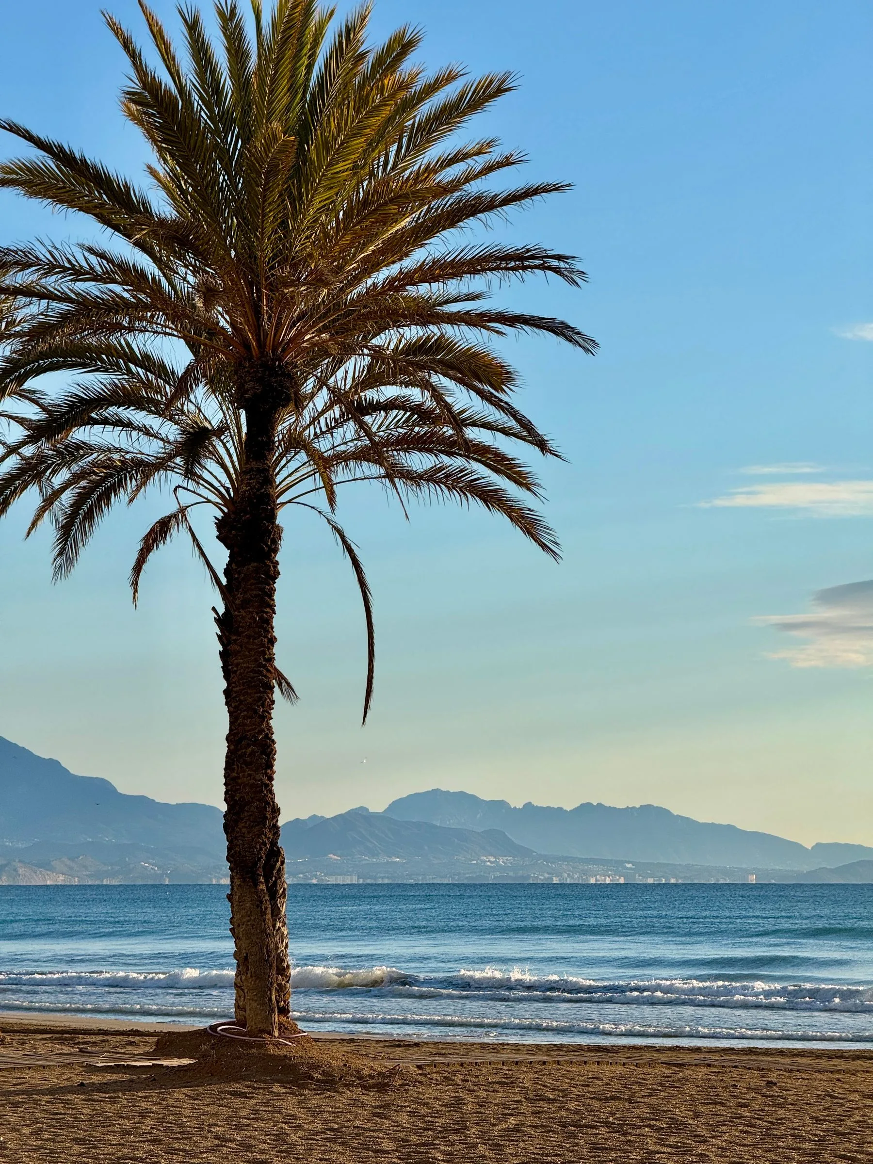 Fodgængervenlig strandpromenade i Alicante med udsigt over Middelhavet